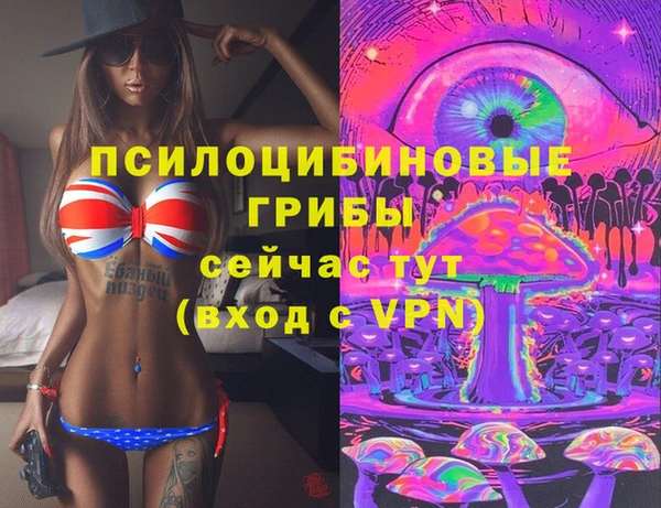 первитин Алапаевск