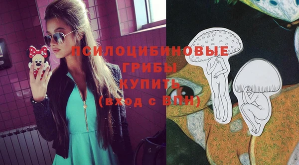 первитин Алапаевск